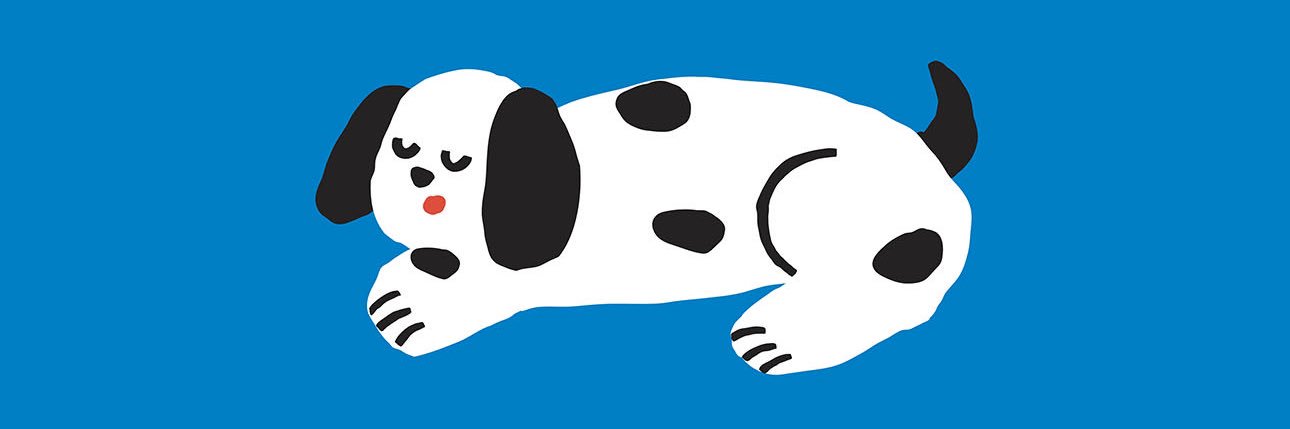 DDD banner
