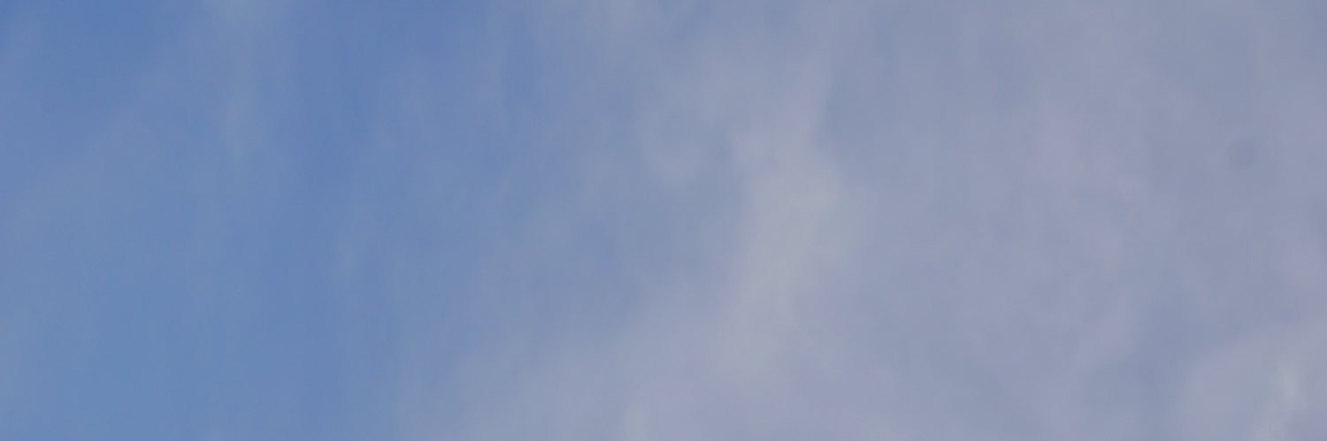 Joshua | Hybrid banner