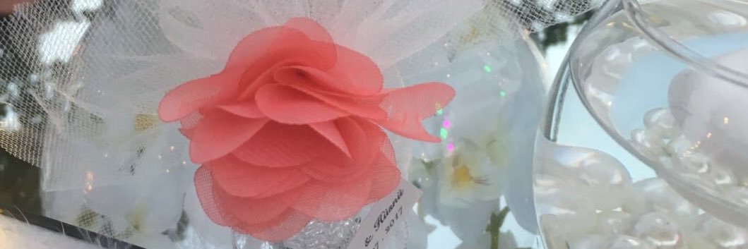AyseAkbasCENGIZ's profile banner image