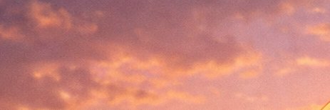 AriAri banner