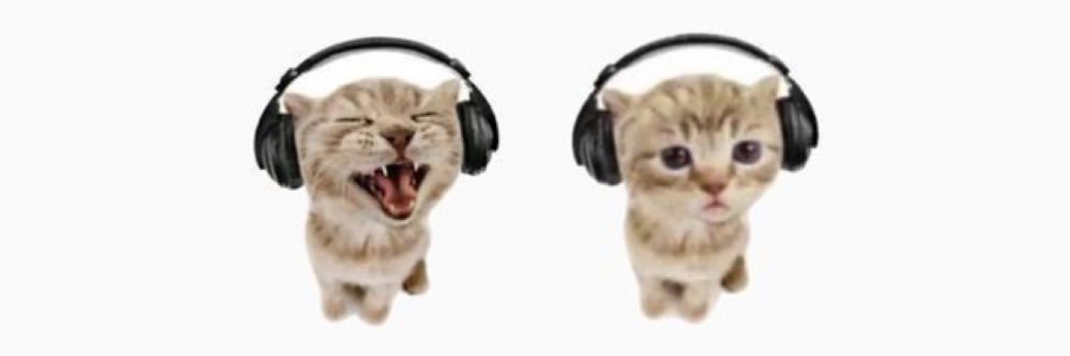 bridionne_'s profile banner image