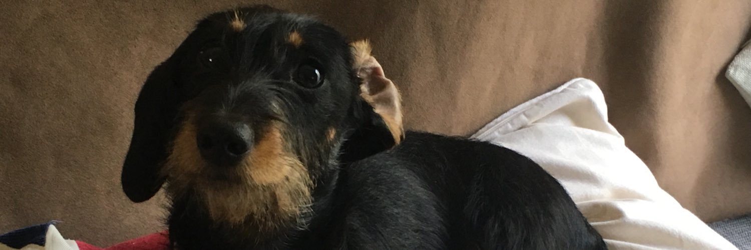 abskibaby's profile banner image