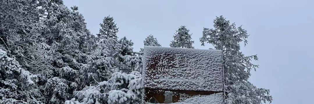 印第安老斑鸠 banner