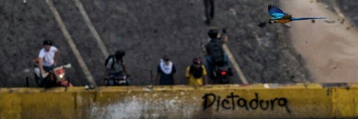 andresz5's profile banner image