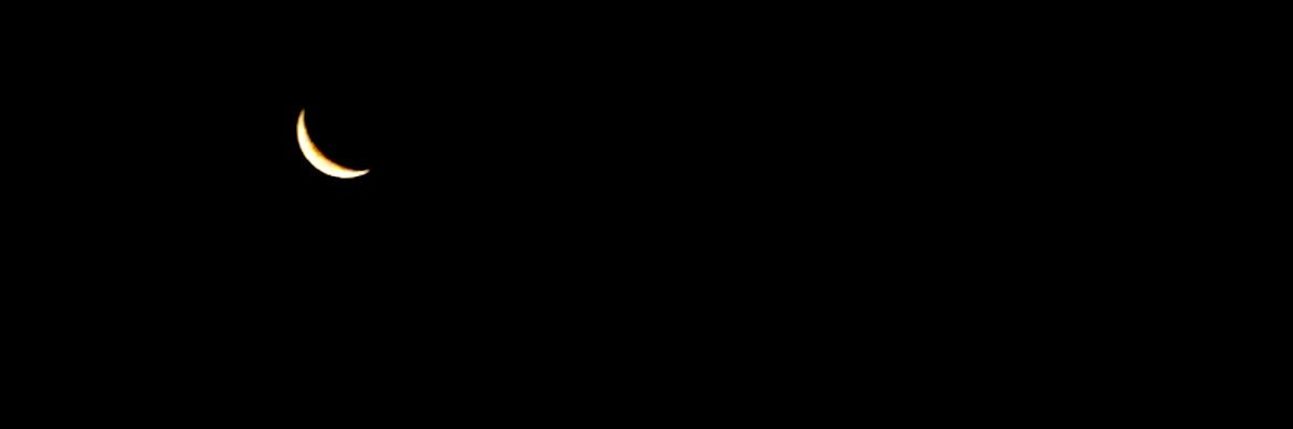 1334_04_56's profile banner image