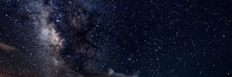 trich41194's profile banner image