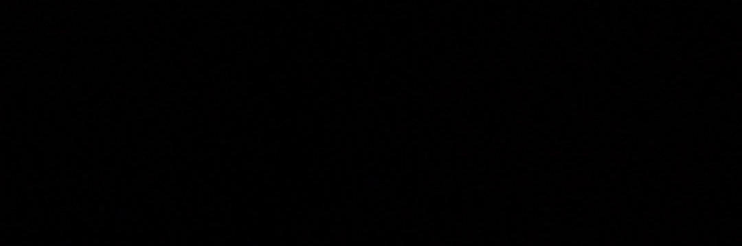 ostiz . banner