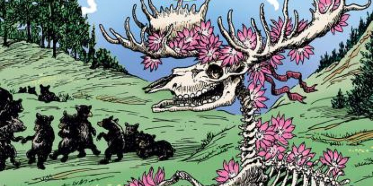 deadheadbuck's profile banner image