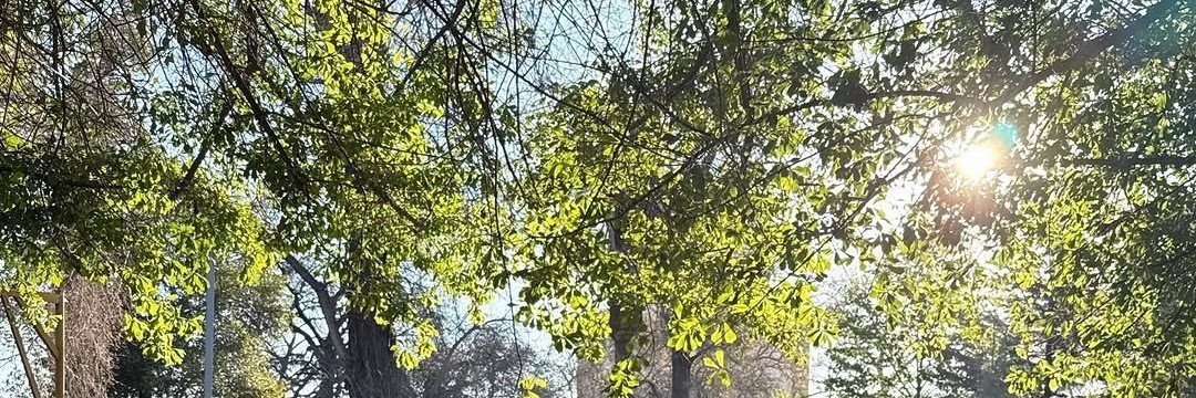 youjymn's profile banner image