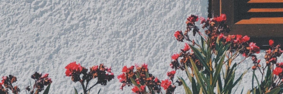 AiluRuso's profile banner image