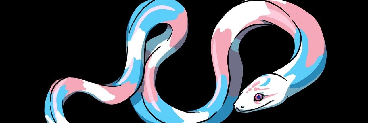 🏳️‍⚧️Somny Puppcake🏳️‍⚧️ banner