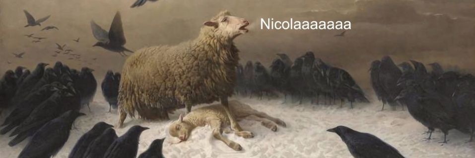 nicoladowse's profile banner image