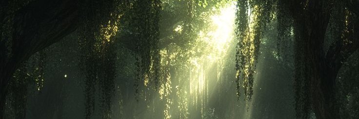 Guyt From Way Back banner