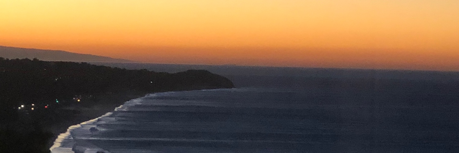 Timothy Young banner