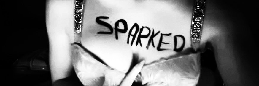 Sparked. banner