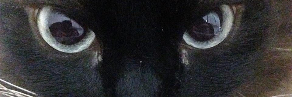Juh_Cini's profile banner image
