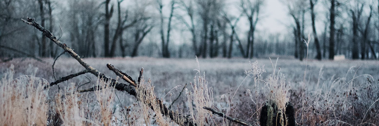 Tyler Forest-Hauser banner