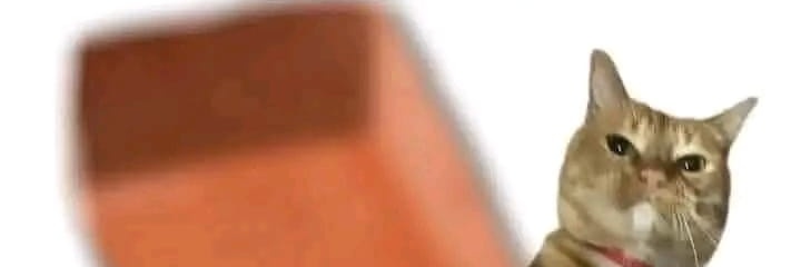 #_Muermeitou_# banner