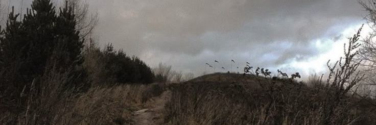 polecat🍂's banner
