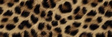 MeLuvAsh's profile banner image