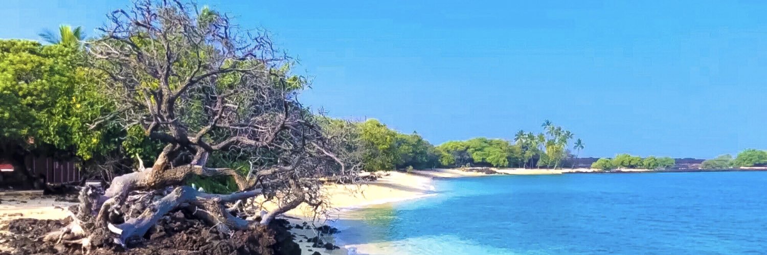 Steven Alexander banner