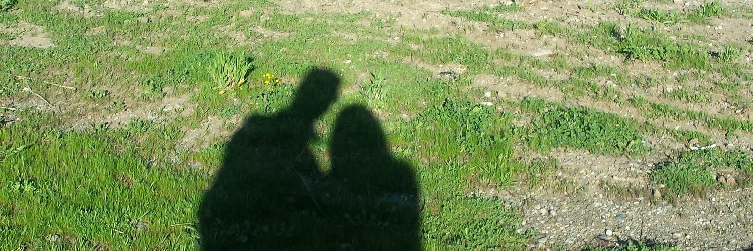 kbbrr_'s profile banner image