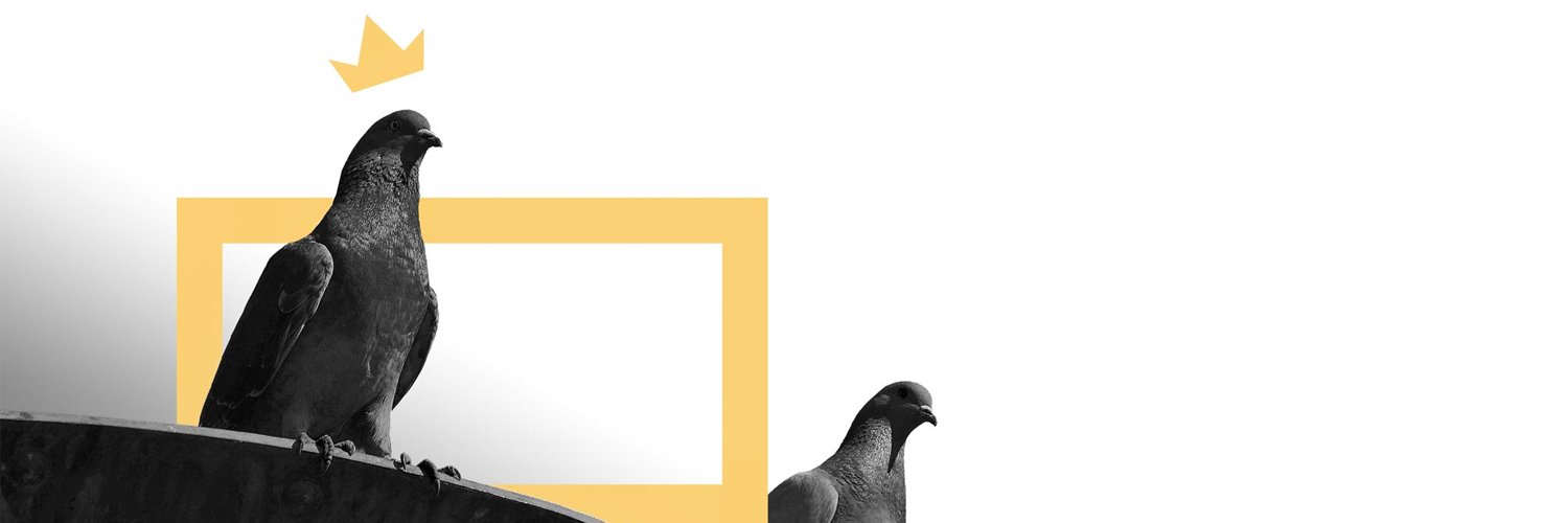 tassoart's profile banner image