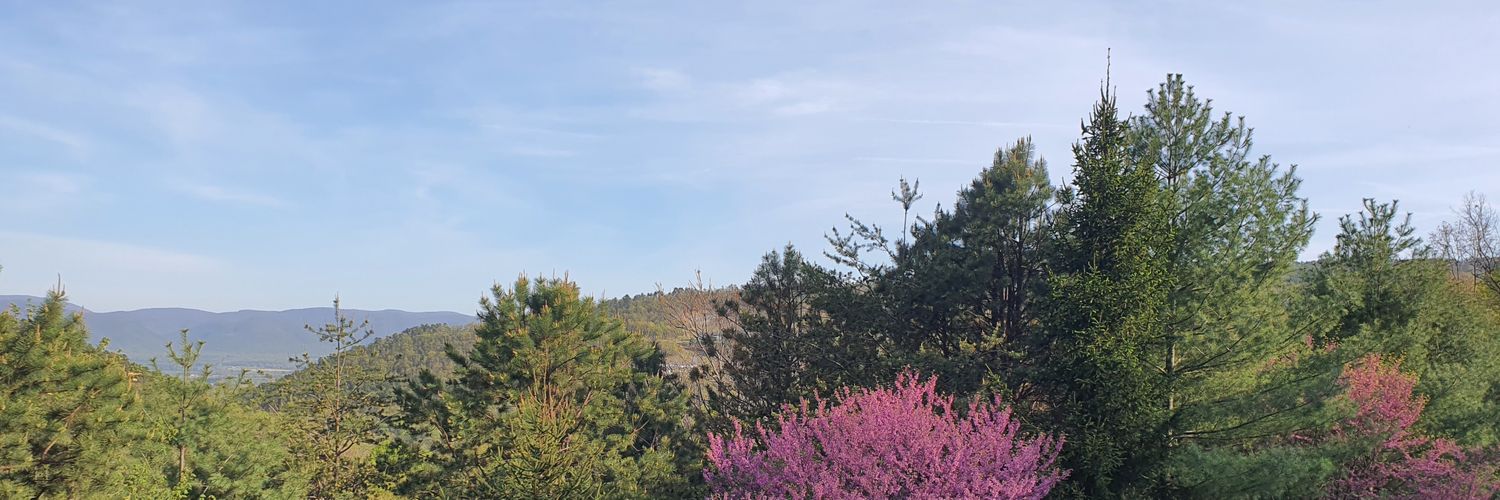 Siobhan Wilson Green banner