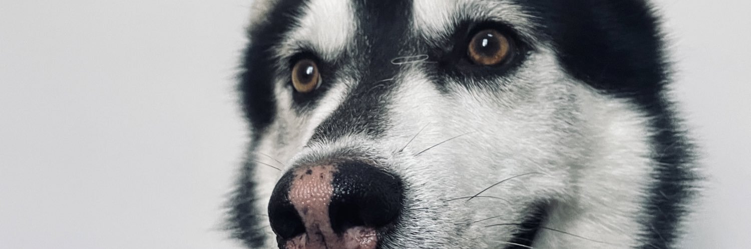 Kaizen_uno's profile banner image