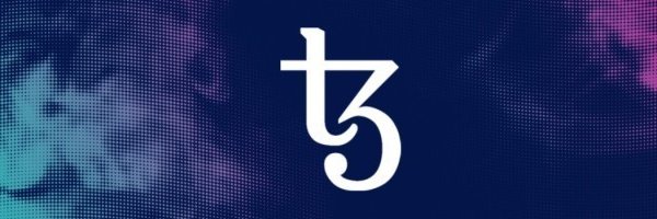 Damien Touzeau banner