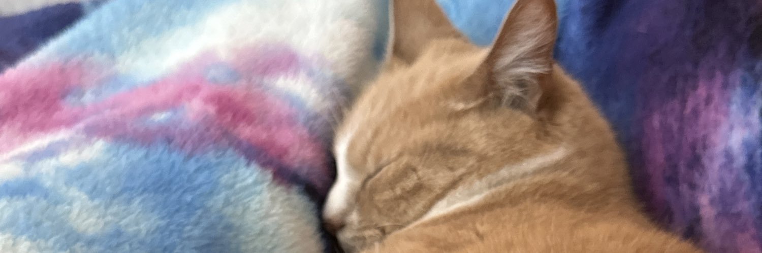 NBKINGAFTERDARK (tip goal: 0/100$) banner