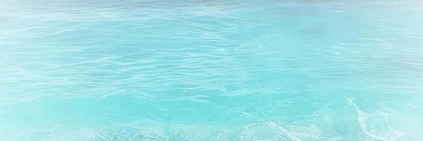 Linlove666 Profile Banner