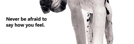 ZKomnttor's profile banner image