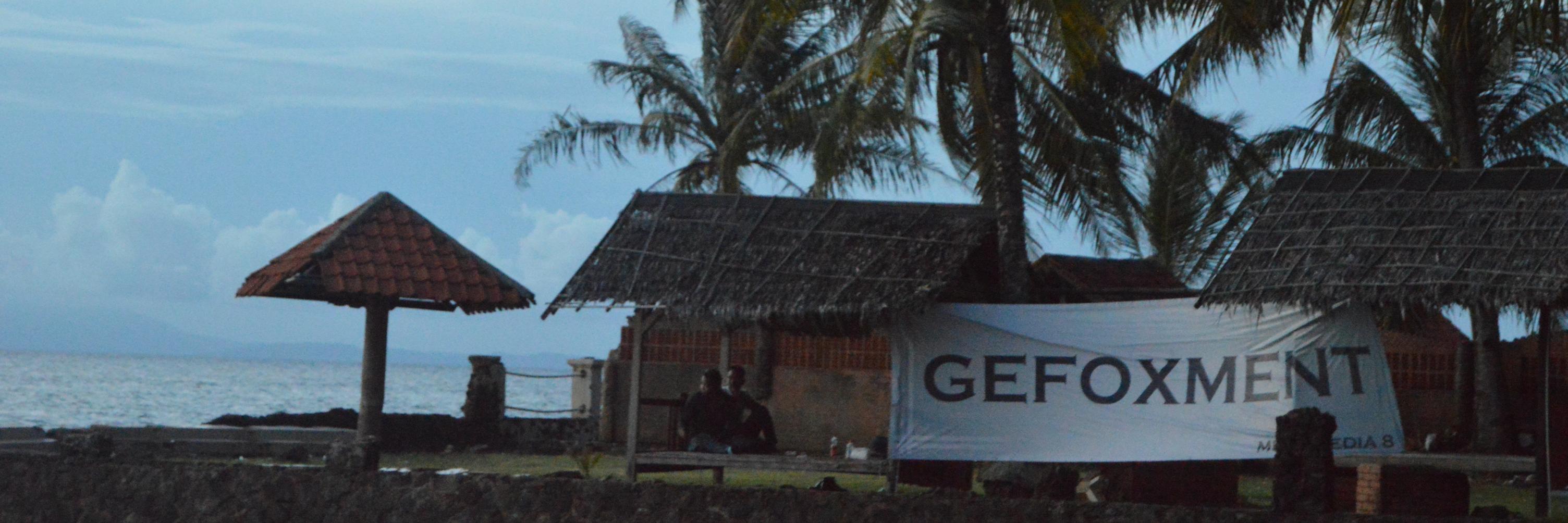 GEFOXMENT2016's profile banner image