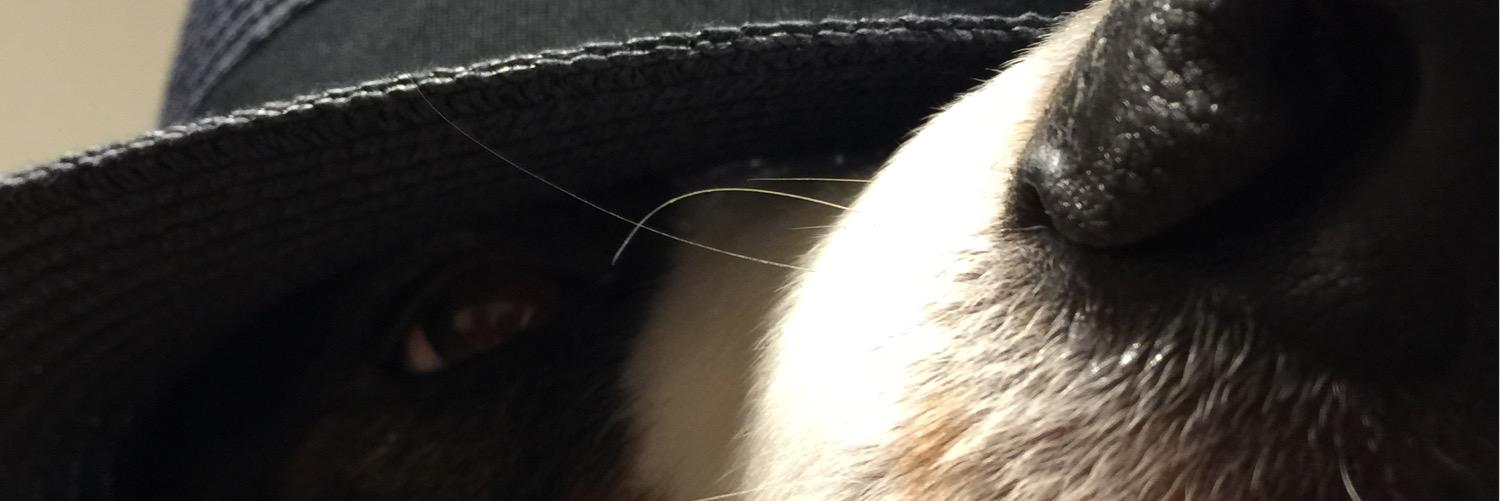 usemakesperfect's profile banner image