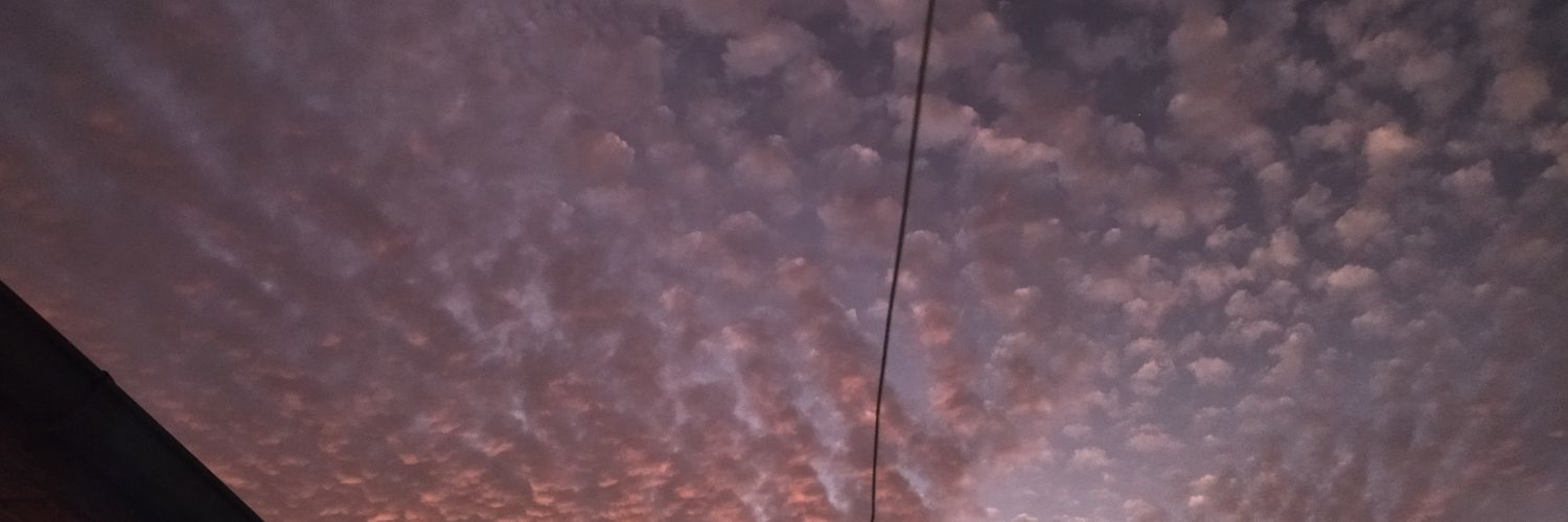 vivitha_barrera's profile banner image