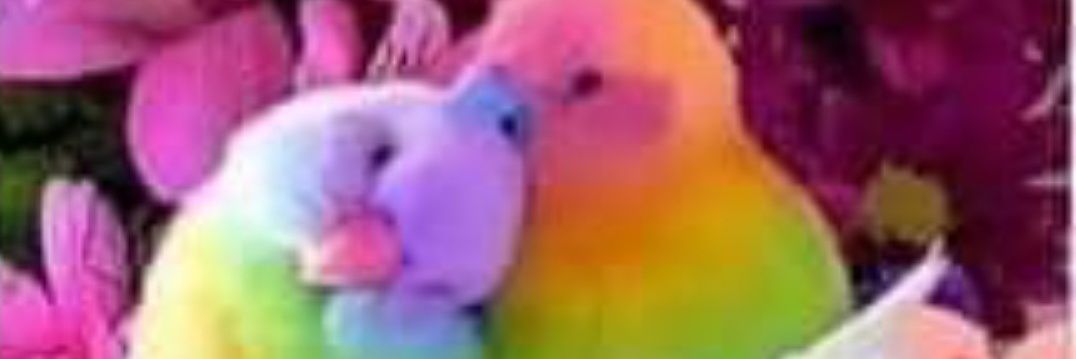 brkwpv's profile banner image
