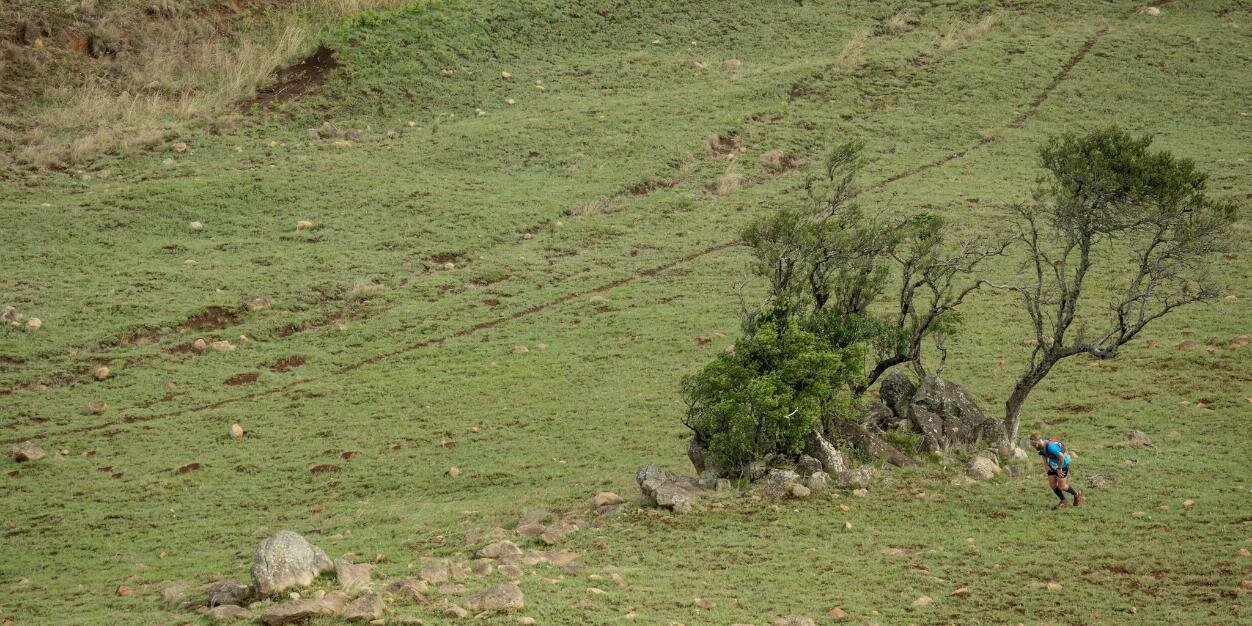IngeliTrail's profile banner image