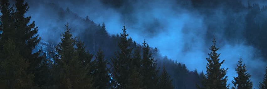 rednirnroot's profile banner image