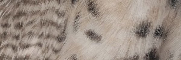 CPPRC Profile Banner