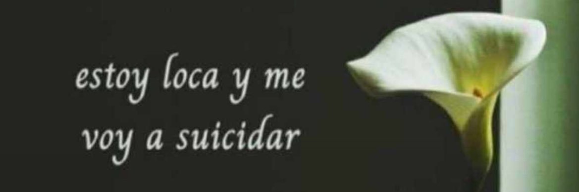 majo banner