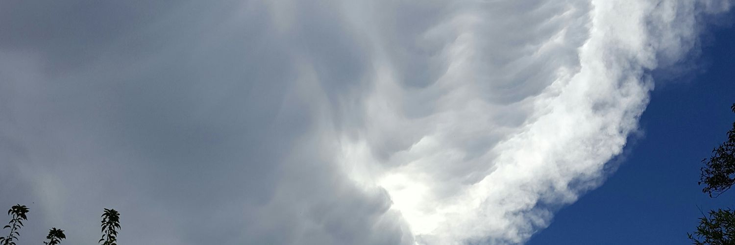 ubq879's profile banner image