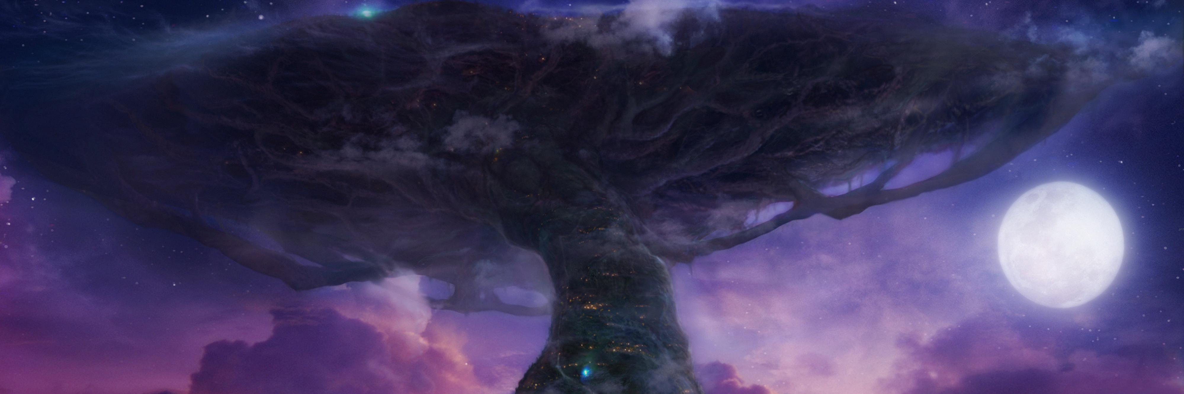 mlad banner