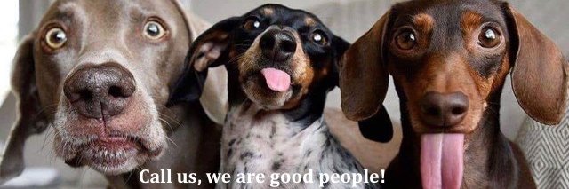 PetSpaMobile's profile banner image