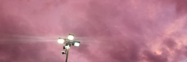 Elliots_Skull Profile Banner