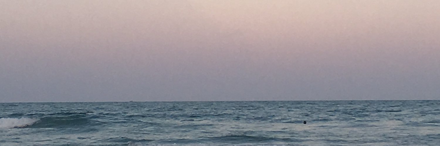 Claudia Laterza banner