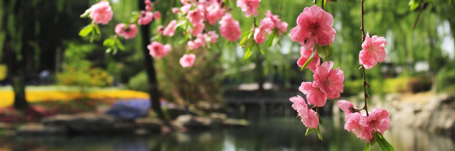 Vee Lee banner