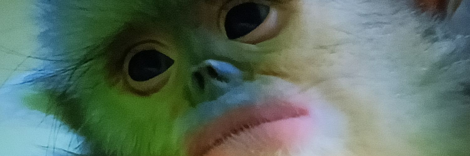 Michubichi🍄 banner