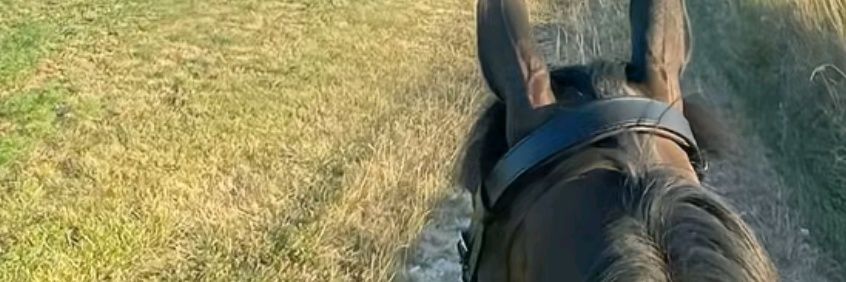 Quantam Zephyr 🔶 banner