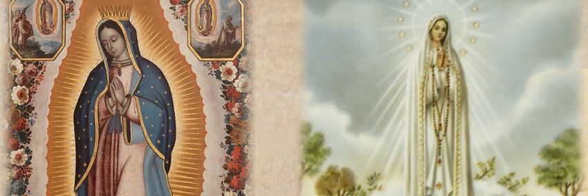 juliusblazer's profile banner image